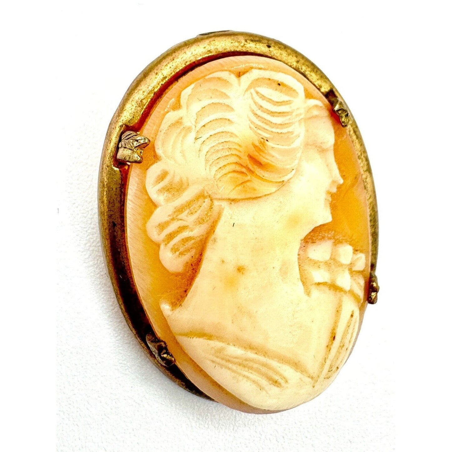 UnbrandedAntique Carved Shell 1920's Portrait Cameo Brooch Gold Filled Frame Prong Set - Black Dog Vintage