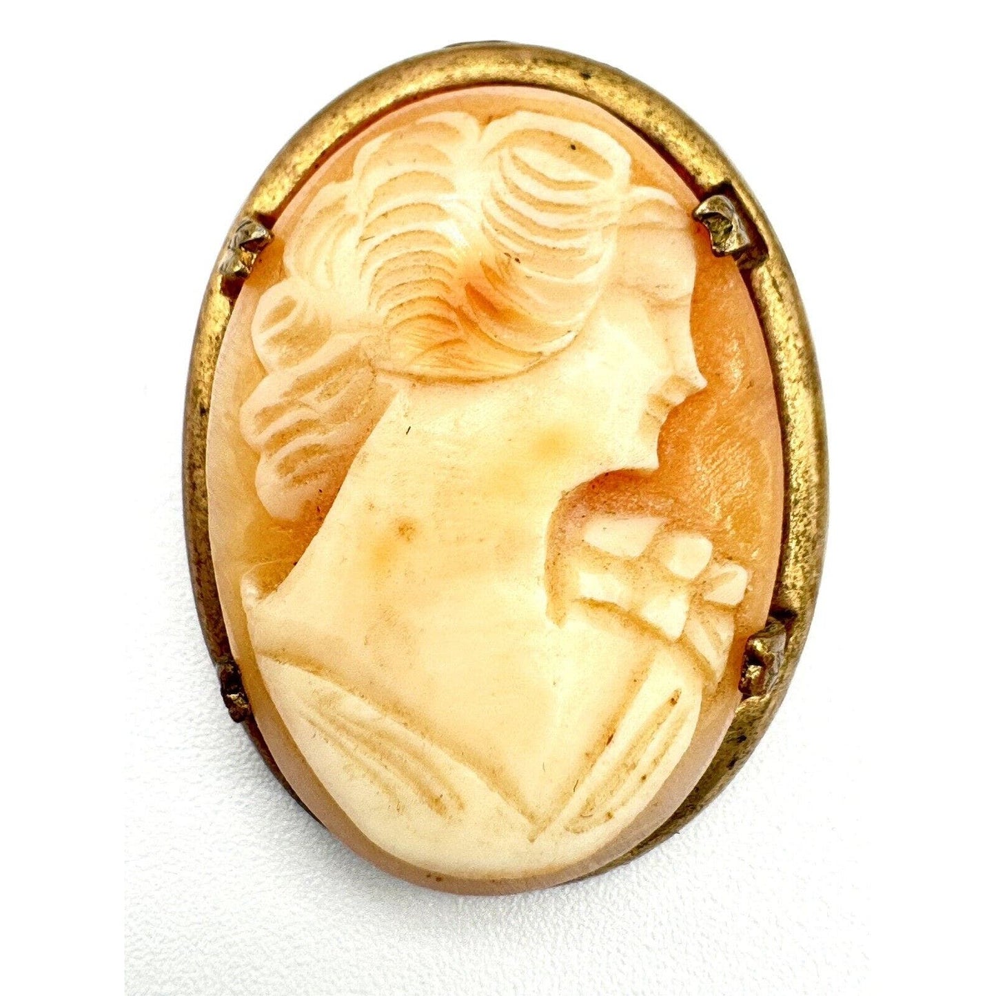 UnbrandedAntique Carved Shell 1920's Portrait Cameo Brooch Gold Filled Frame Prong Set - Black Dog Vintage